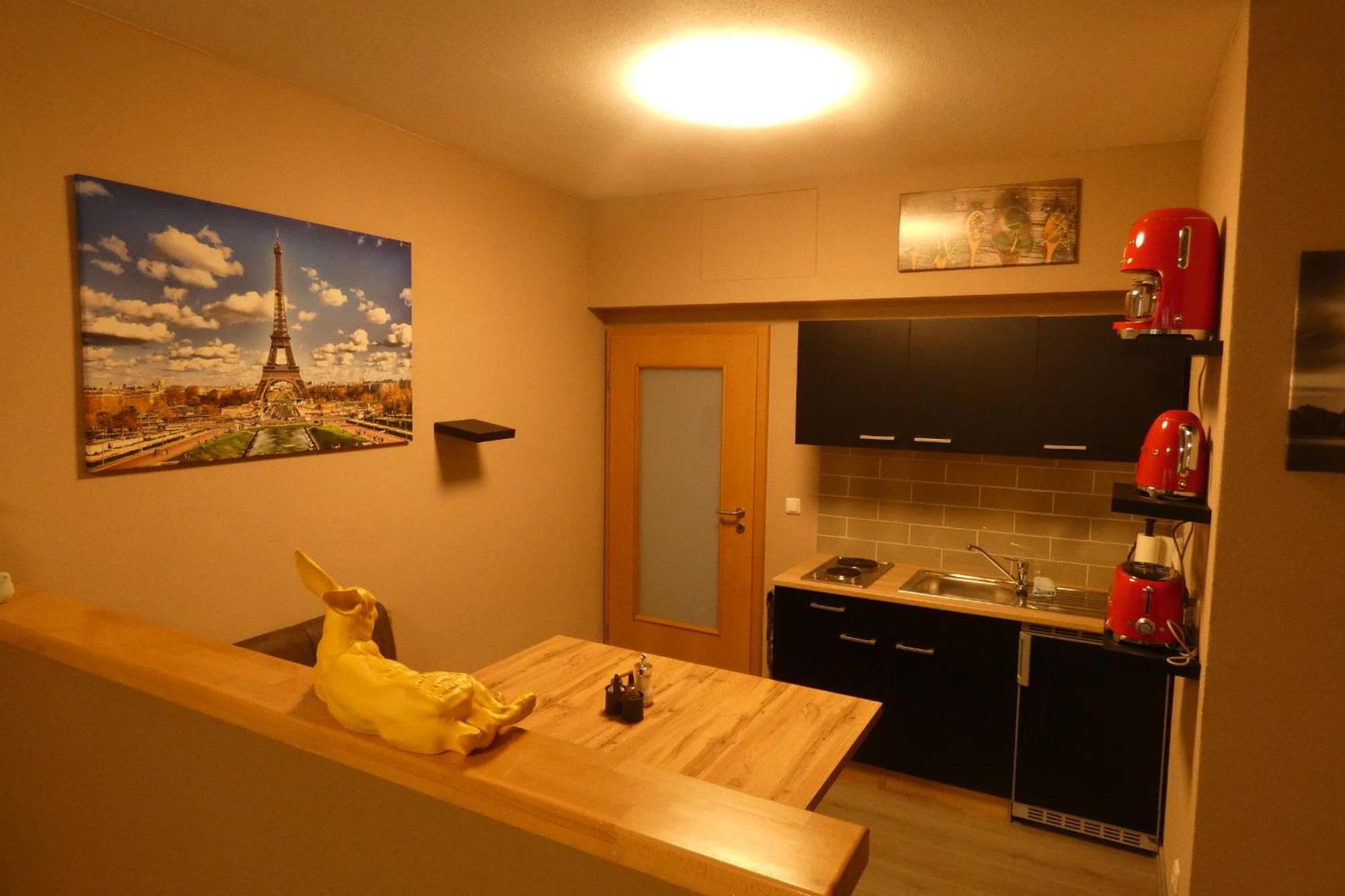 Appartement Paris à Schwandorf in Bayern Extérieur photo